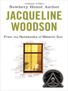 Book cover for From the Notebooks of Melanin Sun
